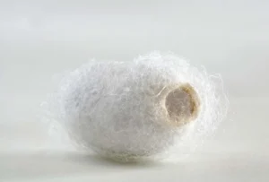 Vải Silk Là Gì? Tìm Hiểu Về Vải Silk