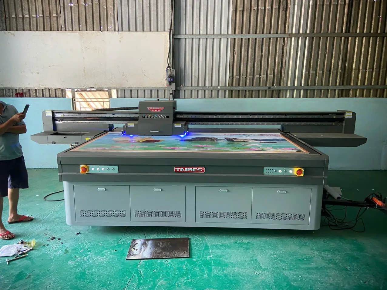 z6583234311663 e801ab72f604684236548a48ff193289